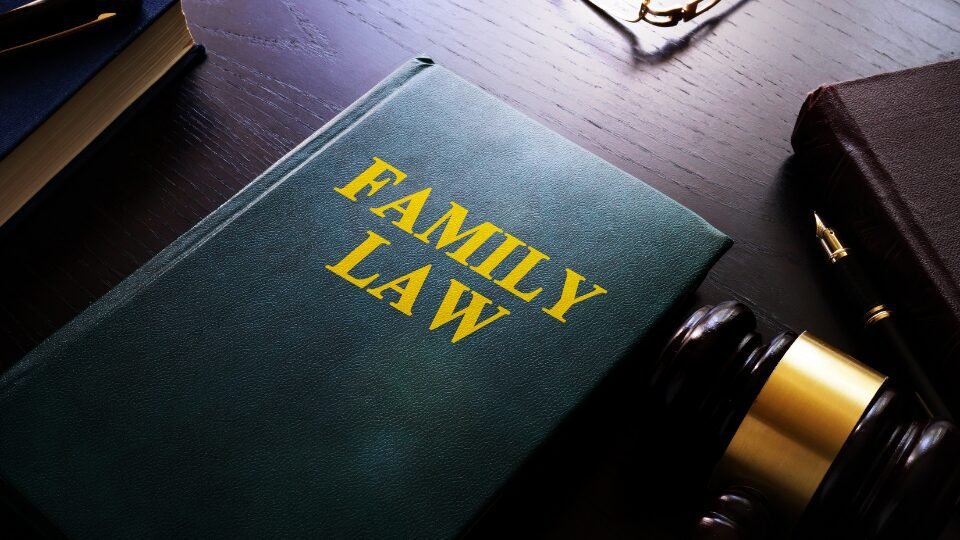 CG-Child Custody Investigations banner gif 1a